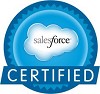 Salesforce Consultants/experts Logo